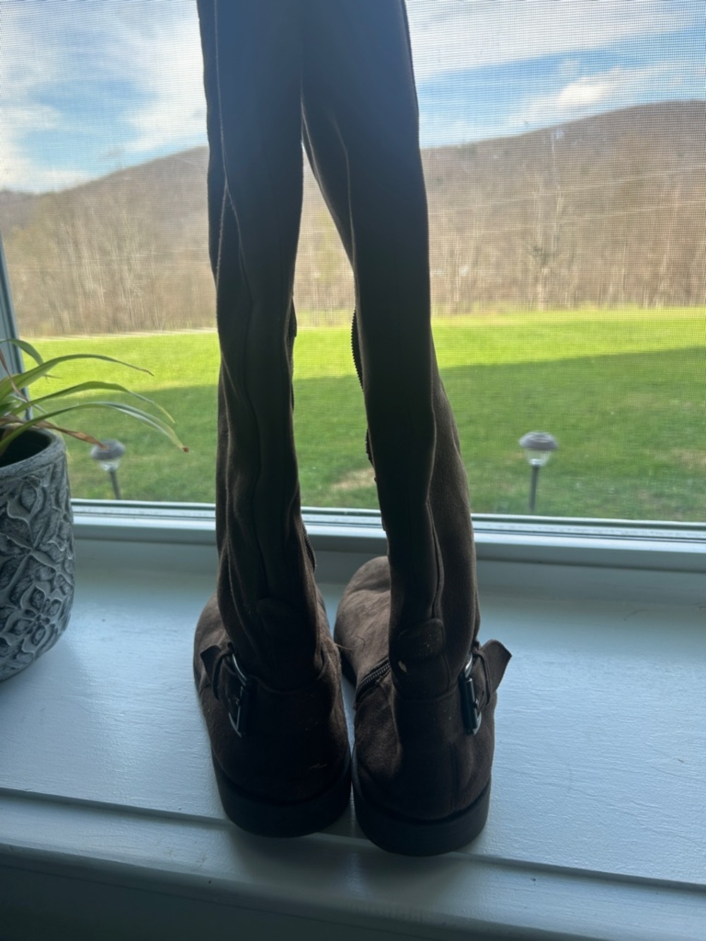 Bass Dark Brown Suede Knee-High Boots - Picture 3 of 7